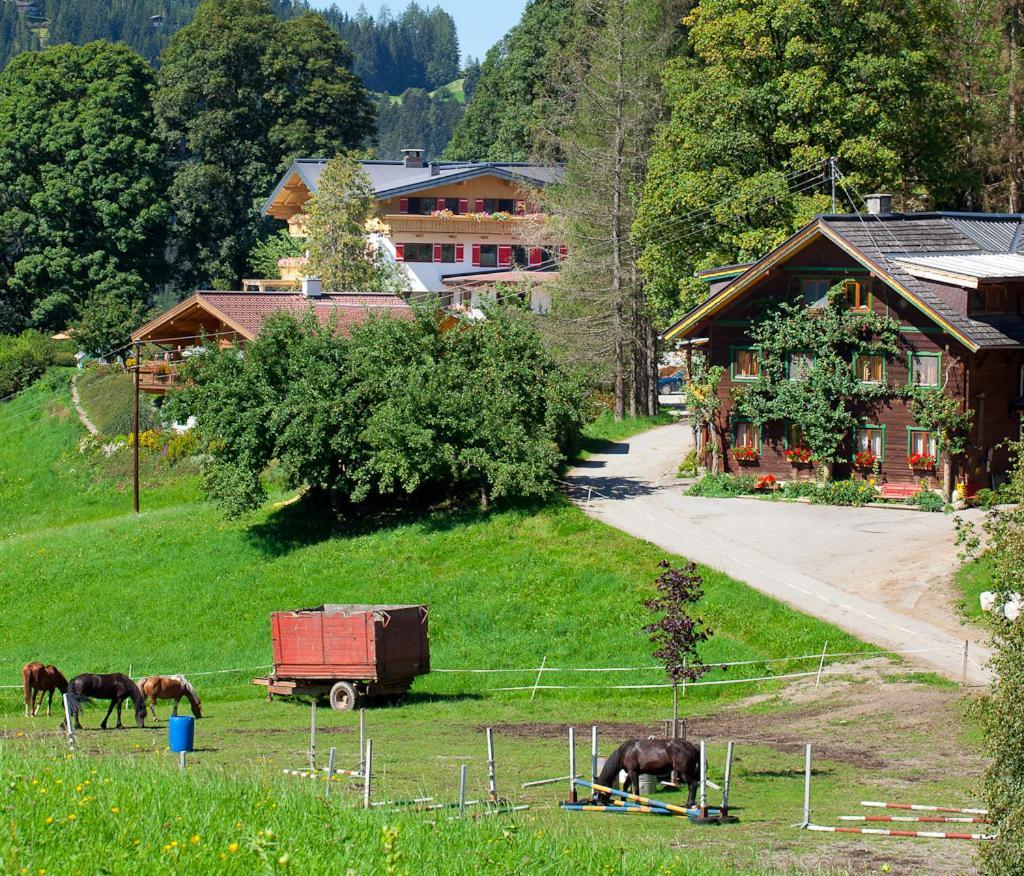 Zauchtaler Hof Hotel Altenmarkt im Pongau Eksteriør billede